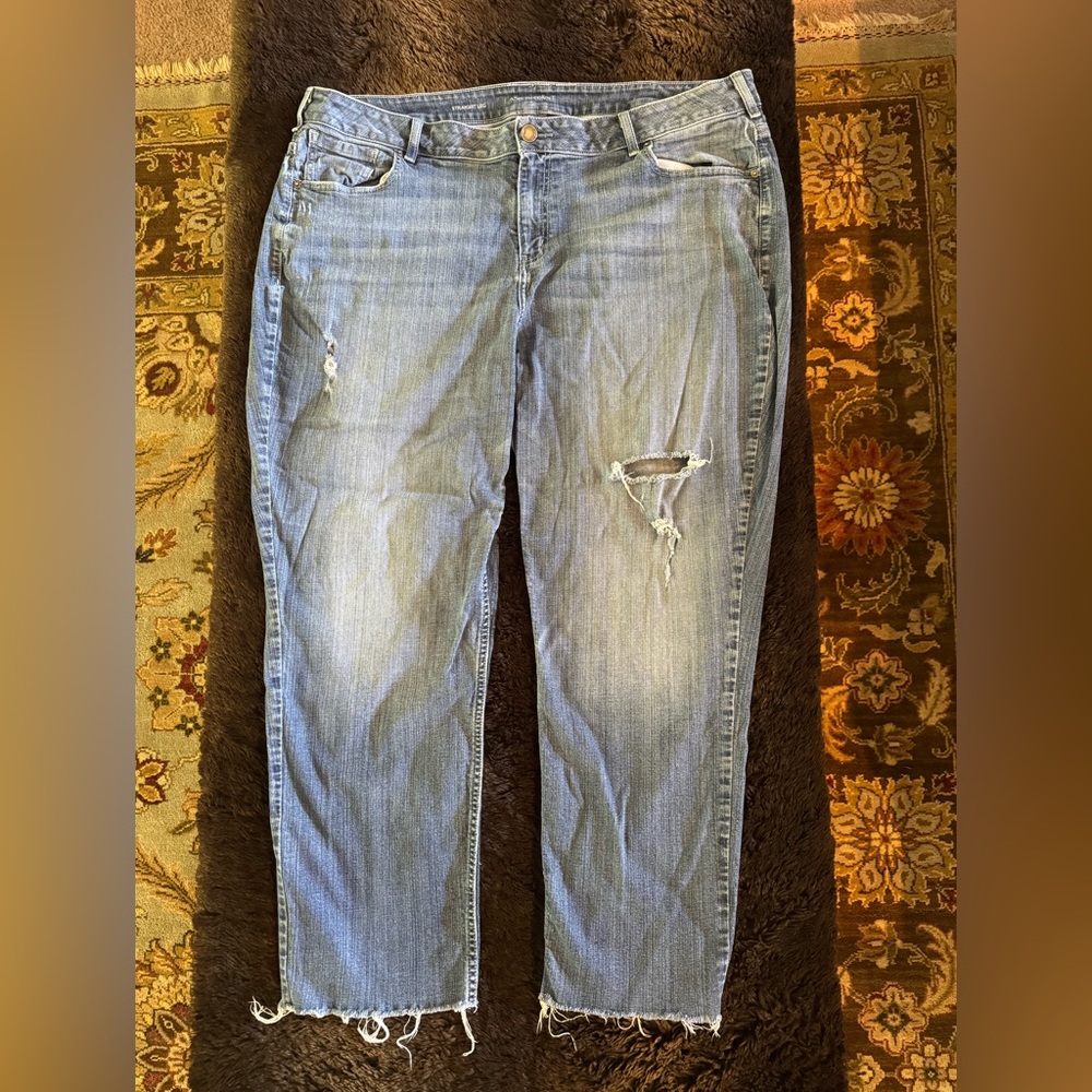 Lane Bryant distressed straight leg jeans - size 24